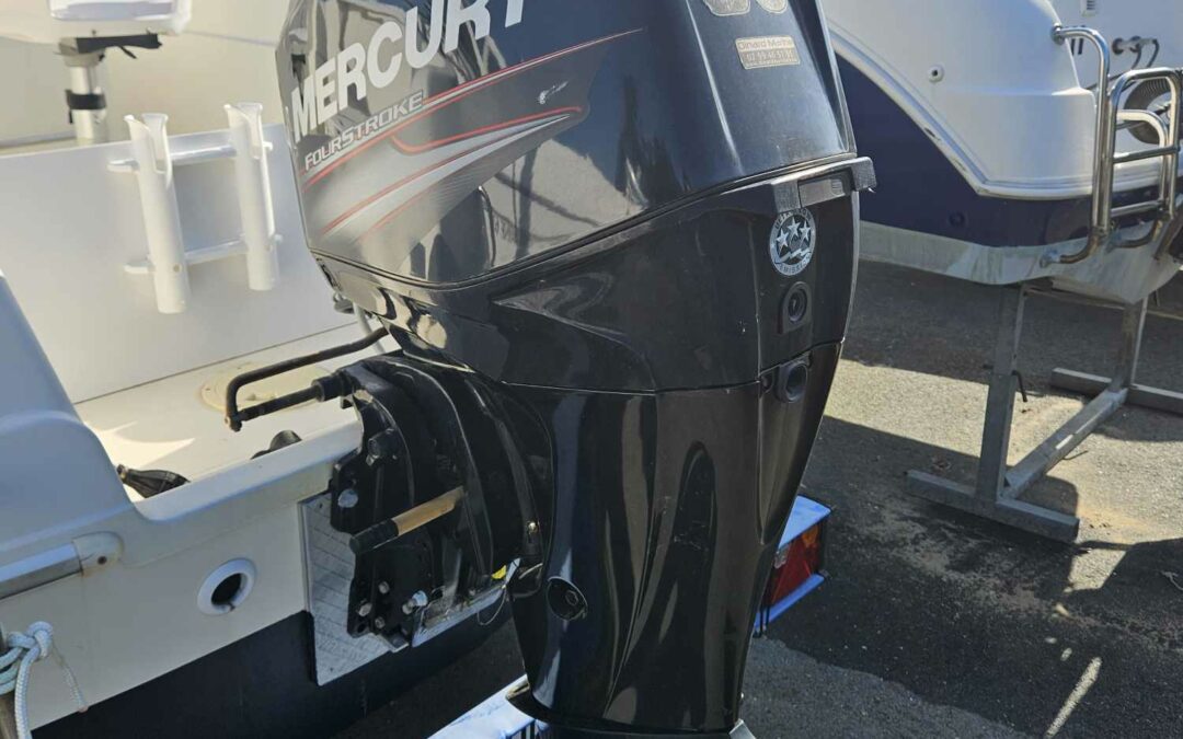 Mercury 60 Cv ELPT EFI millésime 2018