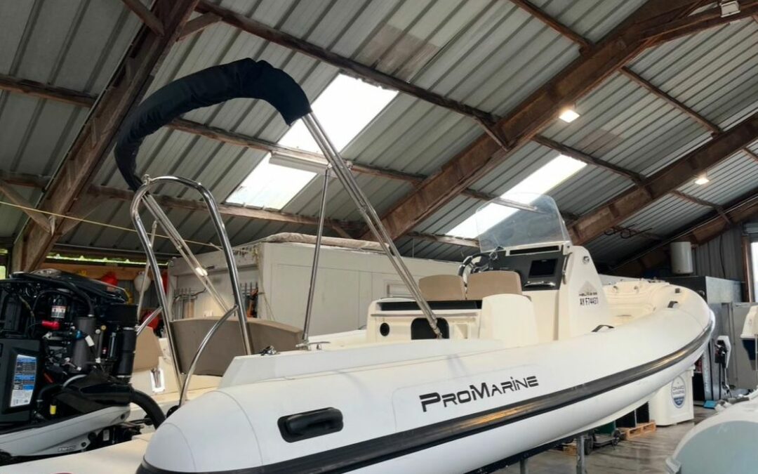 Pro Marine Helios 25 millésime 2018 + Mercury 225 Cv
