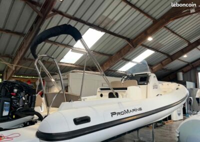 Pro Marine Helios 25 millésime 2018 + Mercury 225 Cv