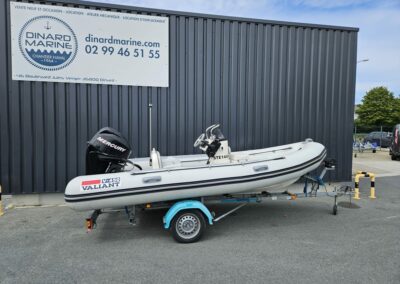 Valiant 450 Vanguard millésime 2008 + Mercury 40 Cv