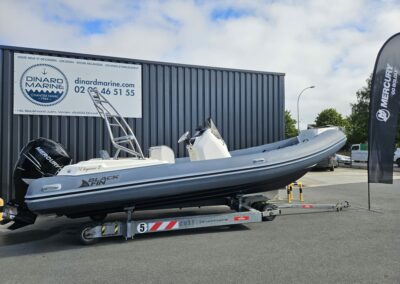 Black Fin Élégance 7 millésime 2018 + Mercury 225 CV